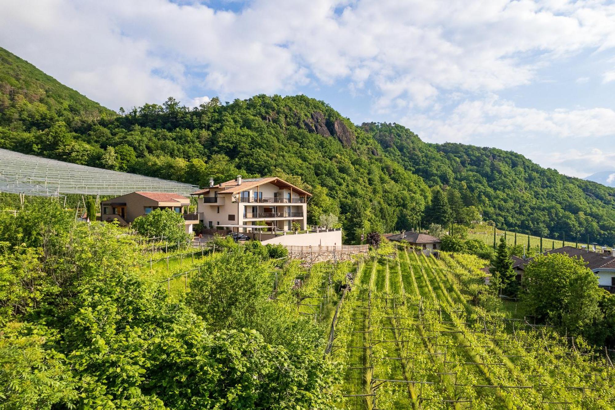 Ferienwohnung Apfelhof Tramin an der Weinstraße Exterior foto